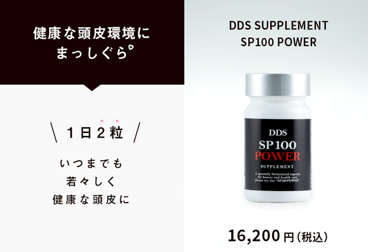 本格派ま！ DDS ☆ SP100 POWER サプリメント その他