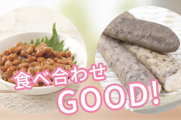 納豆と山芋食べ合わせ