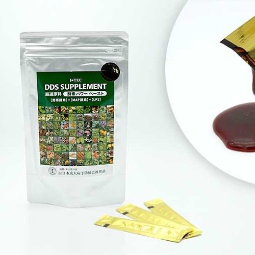 DDS酵素パワーペーストサプリメント