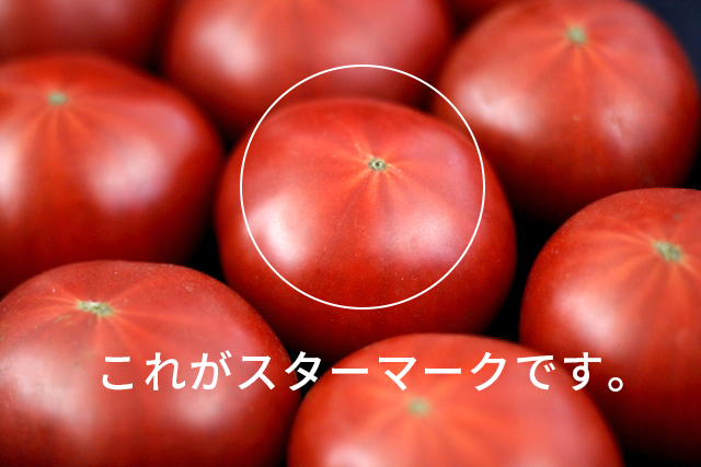 トマトのスターマーク